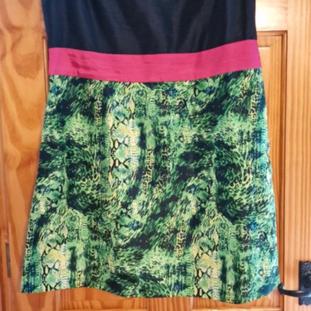 Colleen Rooney Size 18 A-Line Dress